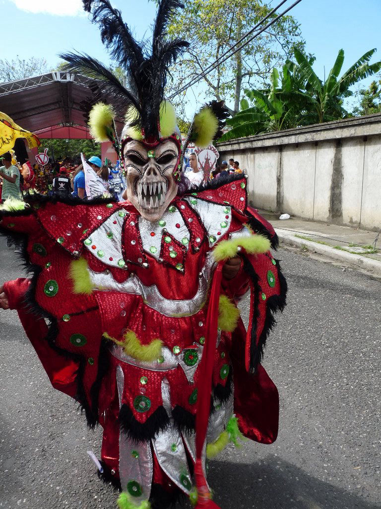Carnaval Vegano 2014