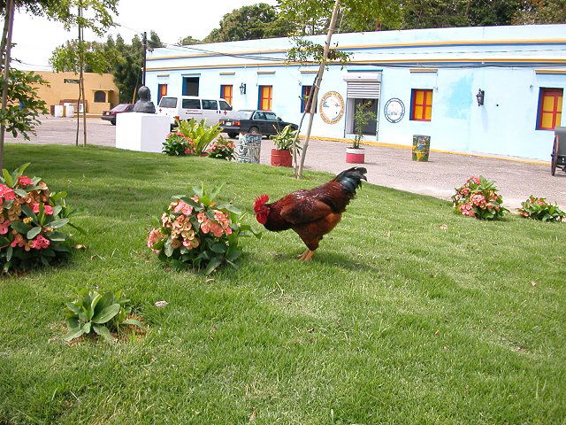 Museo Cultural Fortaleza San Luis
