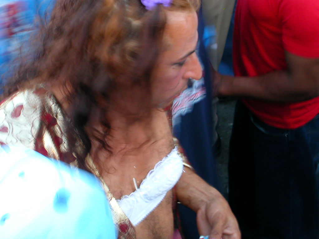 Carnaval Vegano 2004