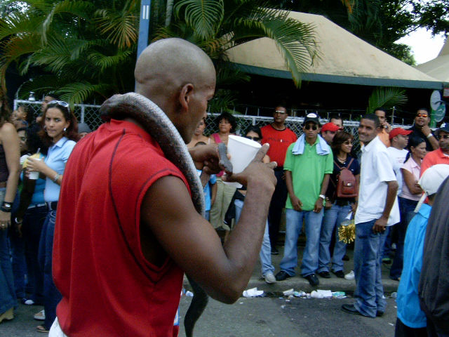 Carnaval Vegano 2006