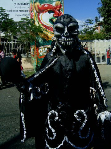 Carnaval Vegano 2008