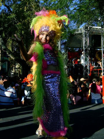 Carnaval Vegano 2008