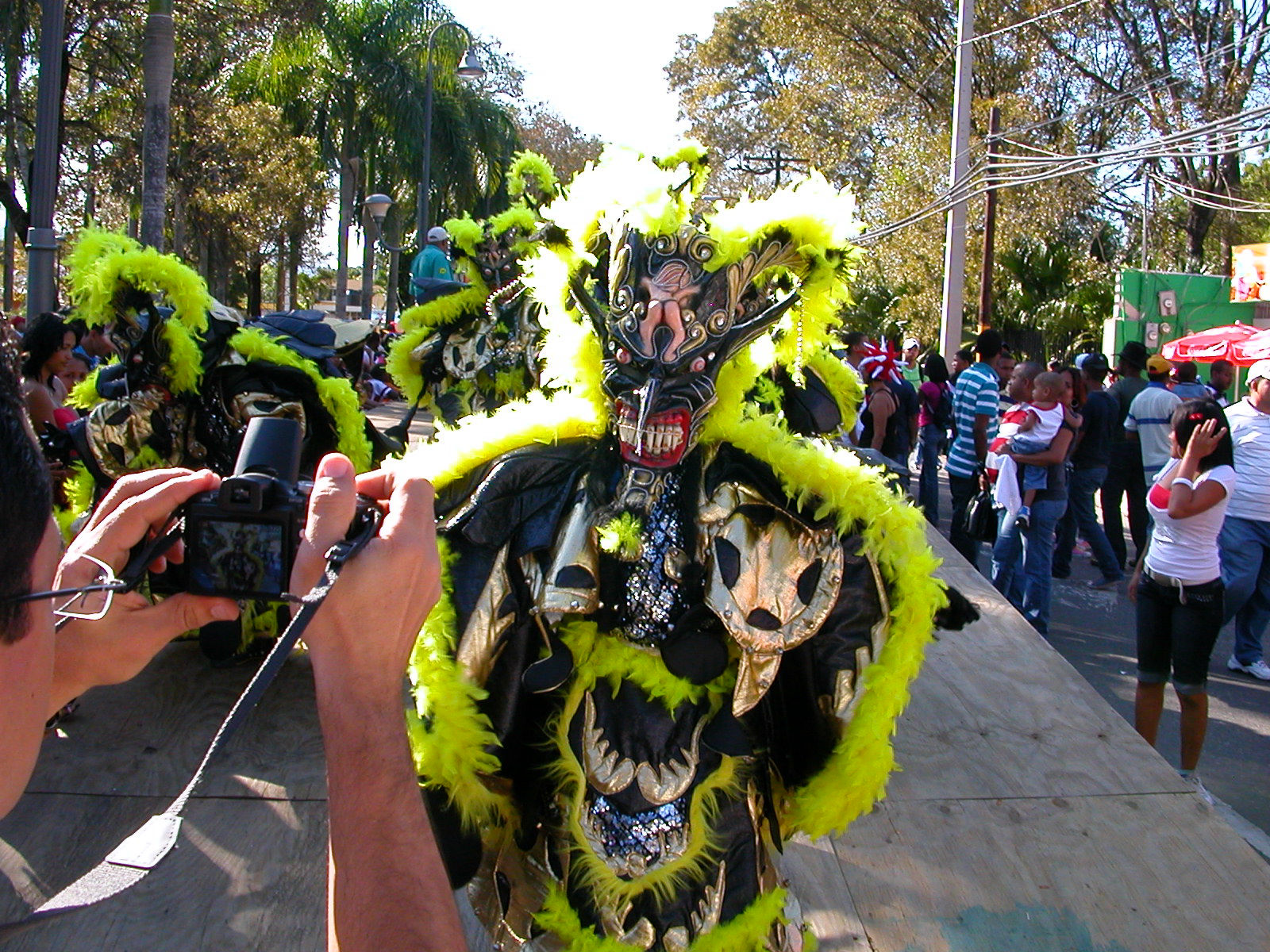 Carnaval Vegano 2009