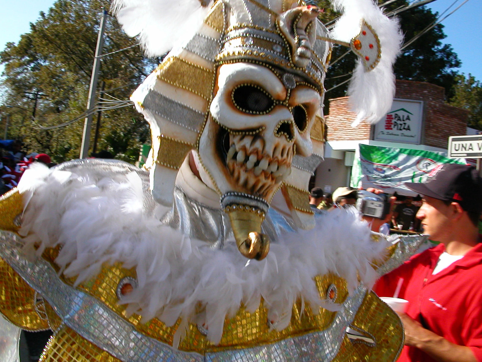 Carnaval Vegano 2009