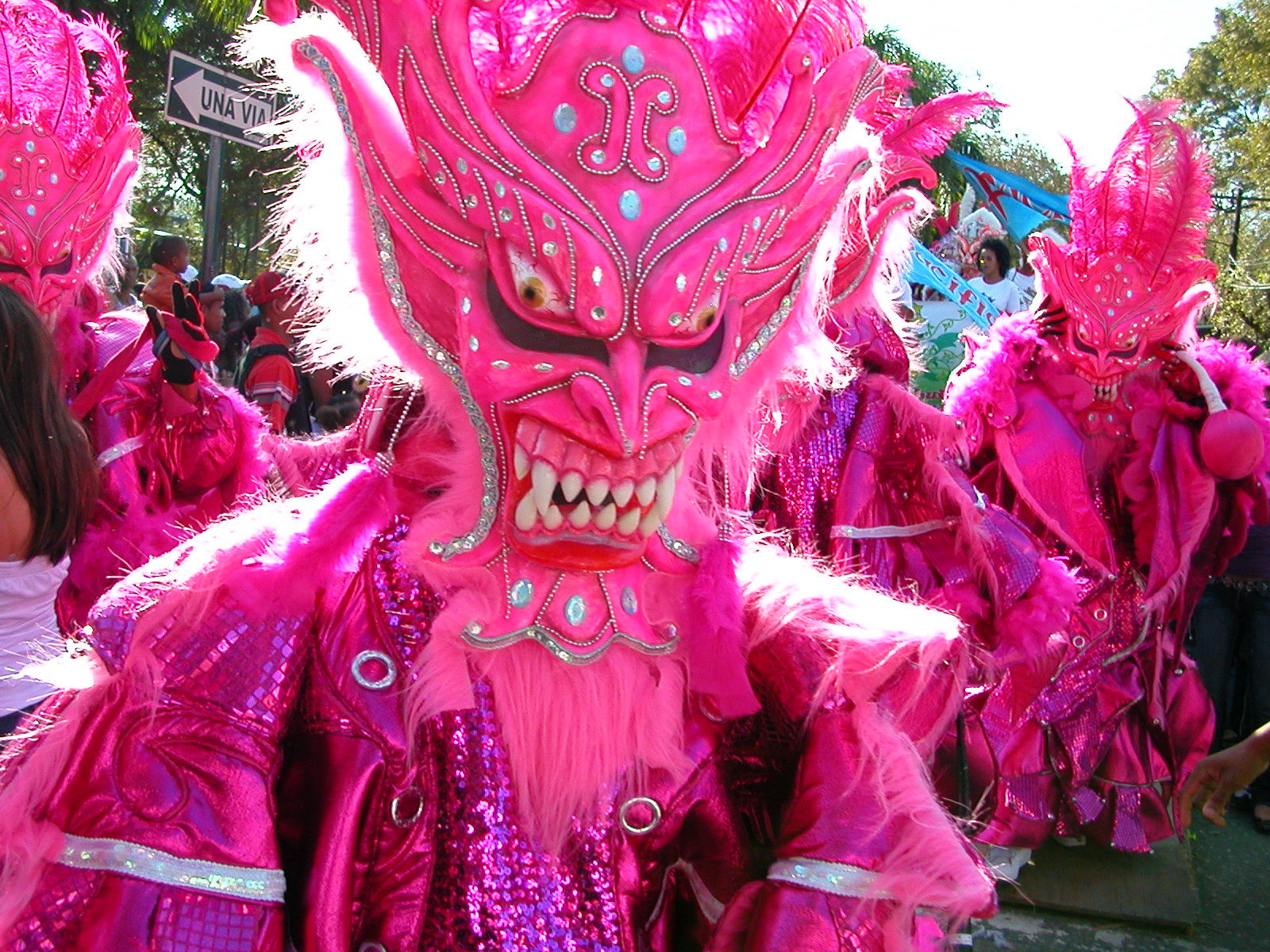 Carnaval Vegano 2009