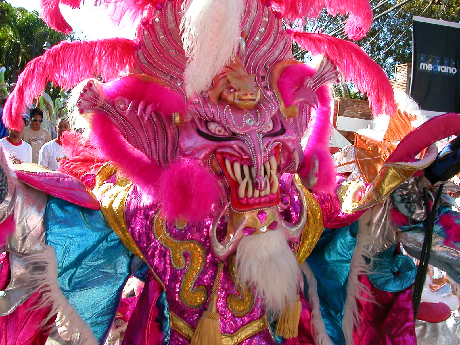 Carnaval Vegano 2009