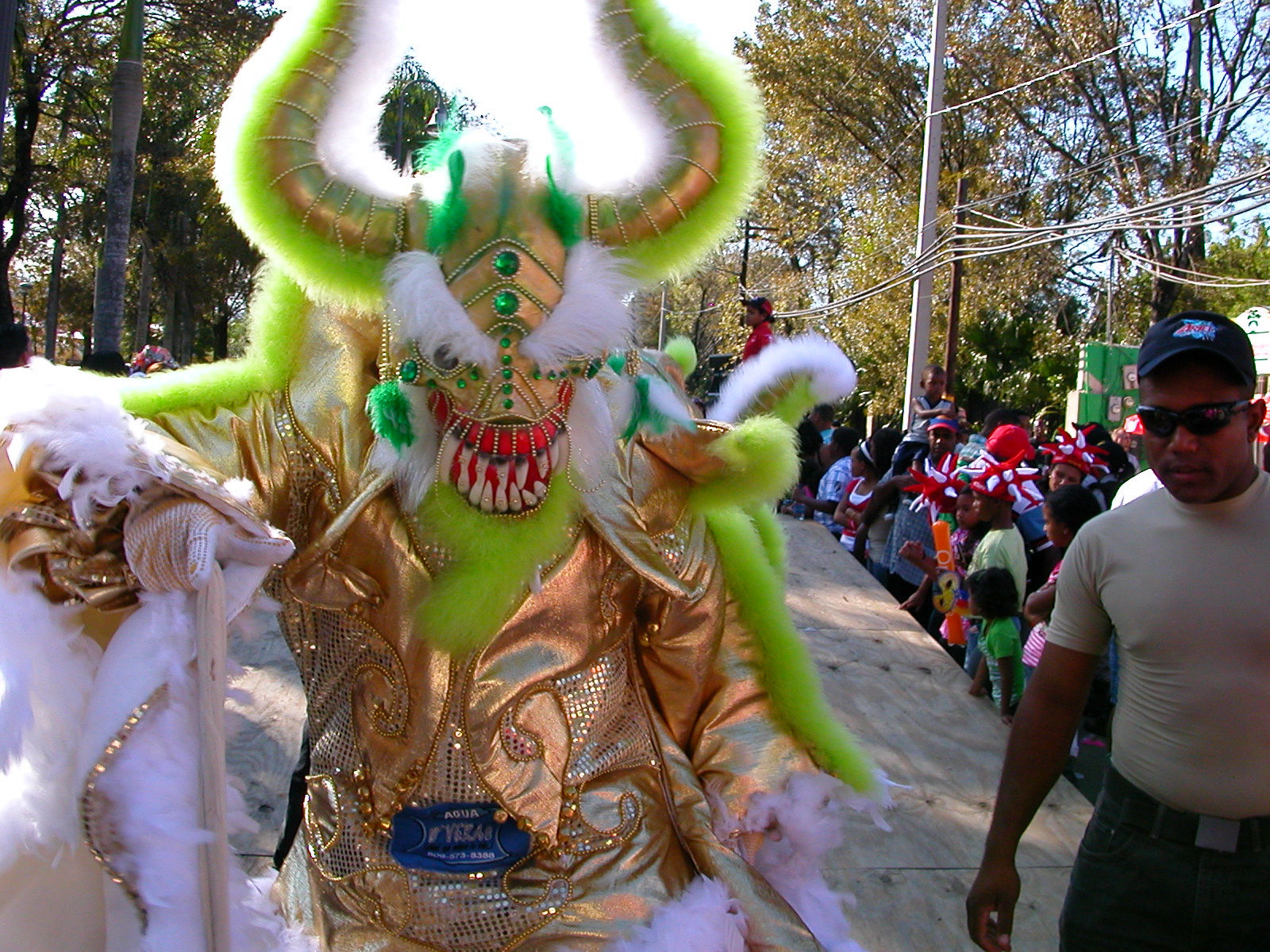 Carnaval Vegano 2009
