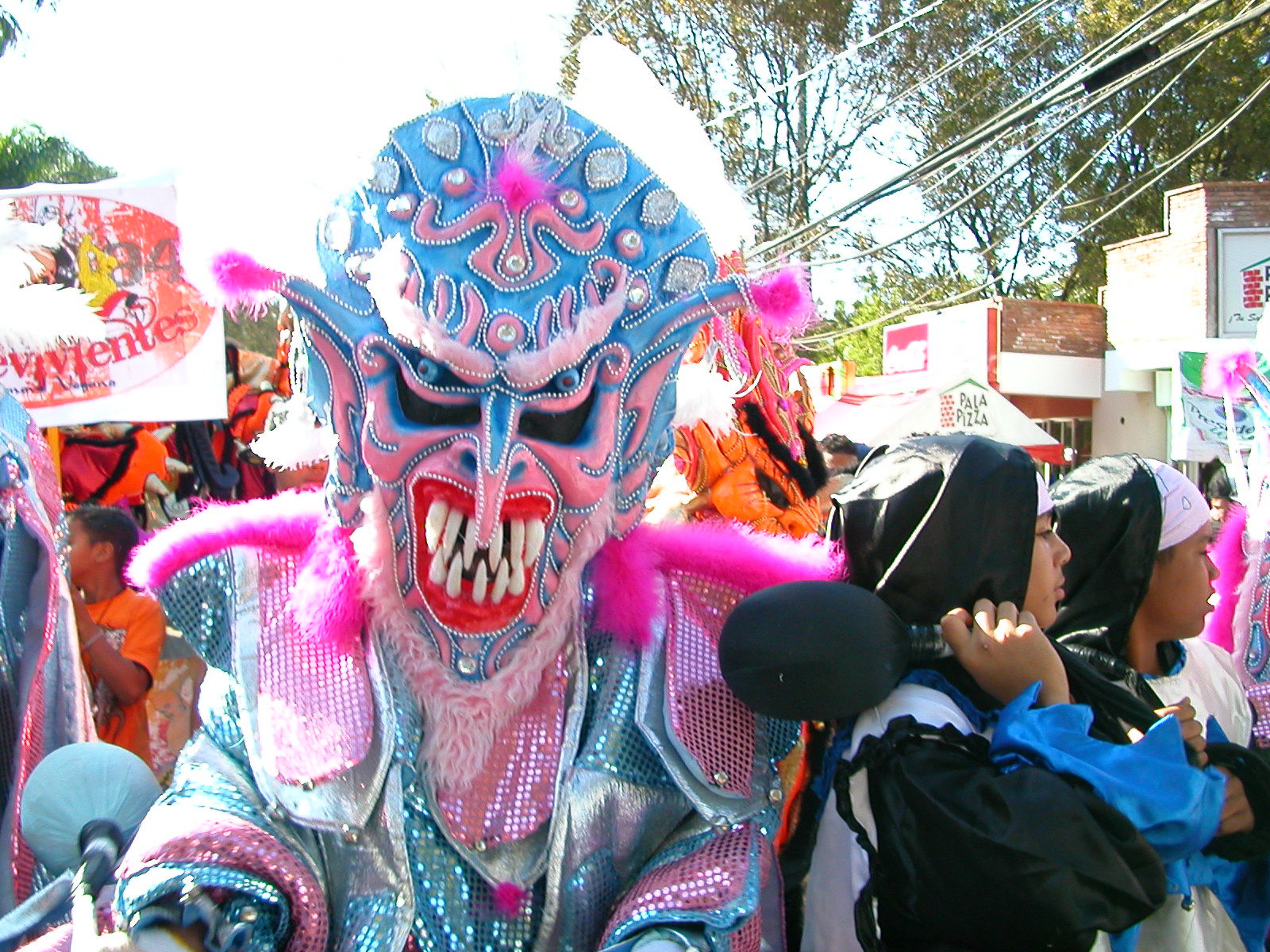 Carnaval Vegano 2009