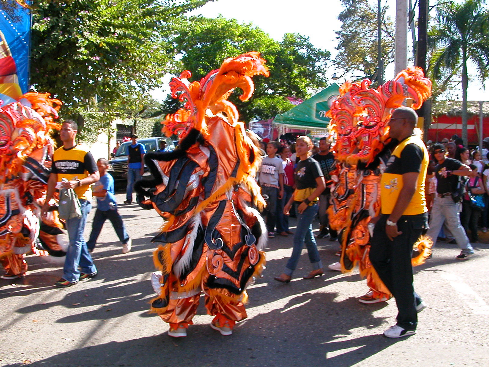 Carnaval Vegano 2009