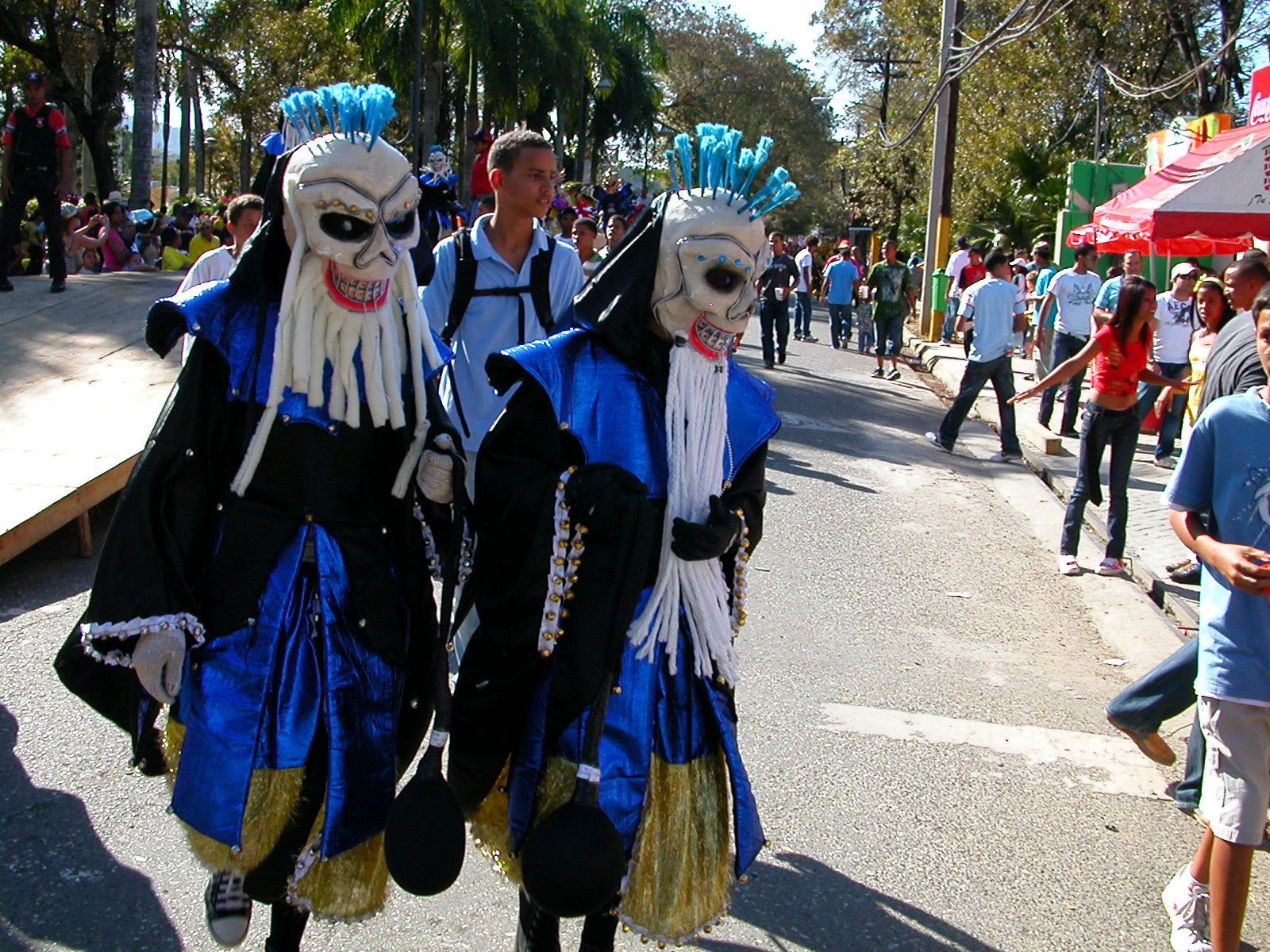 Carnaval Vegano 2009