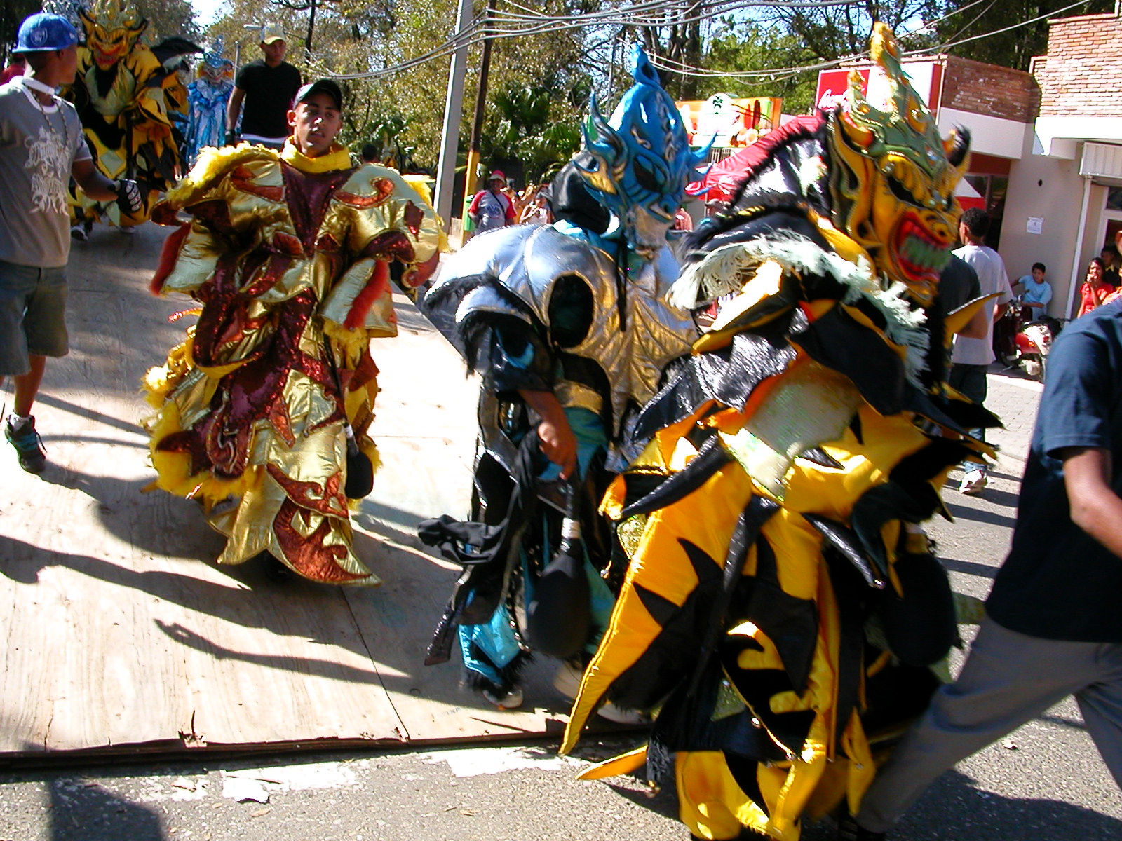 Carnaval Vegano 2009