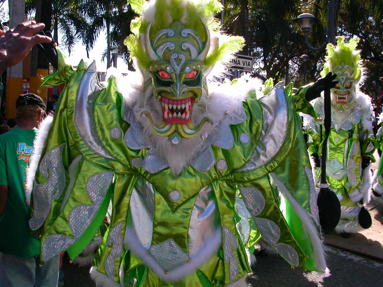 Carnaval Vegano 2009