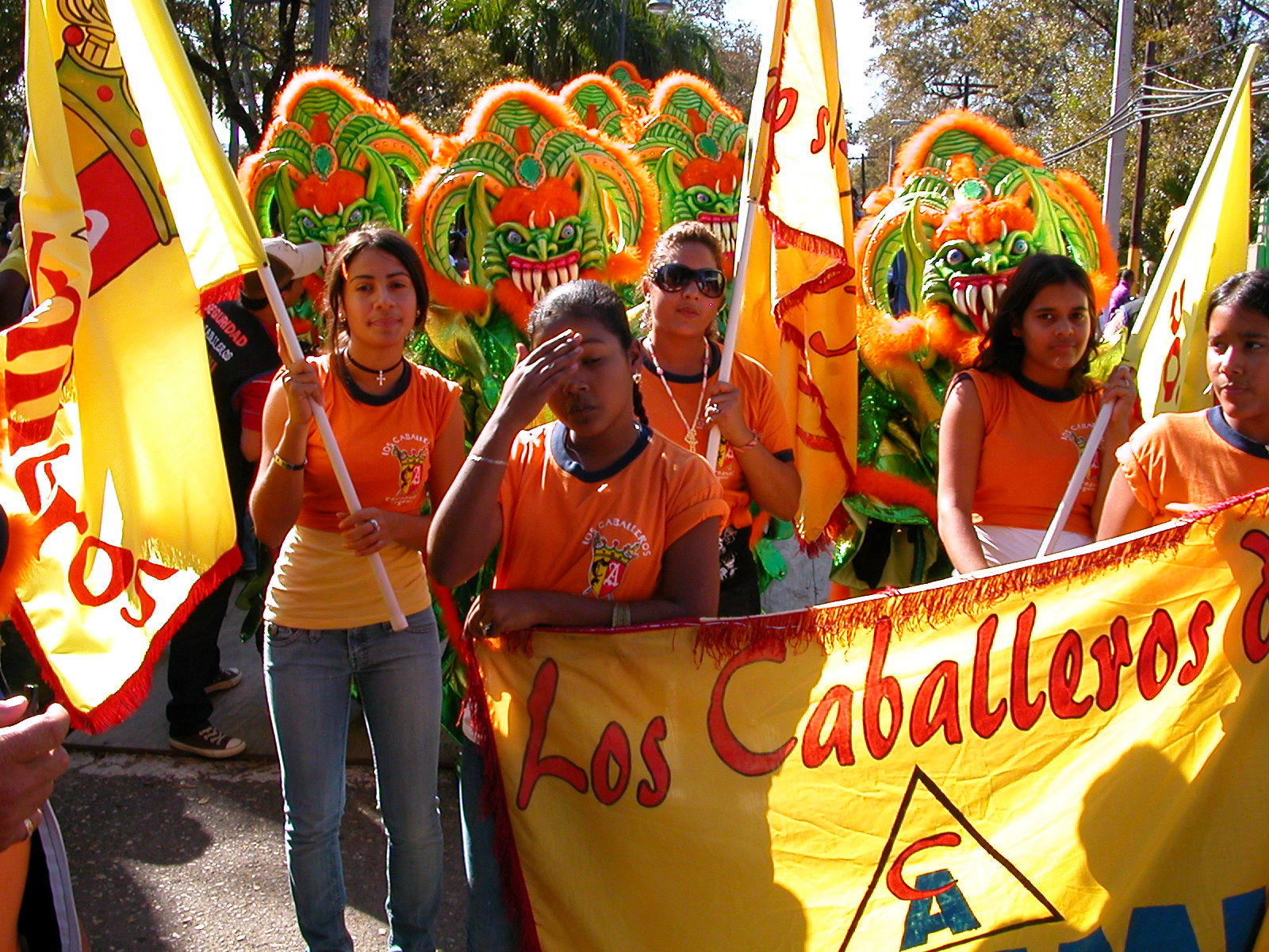 Carnaval Vegano 2009