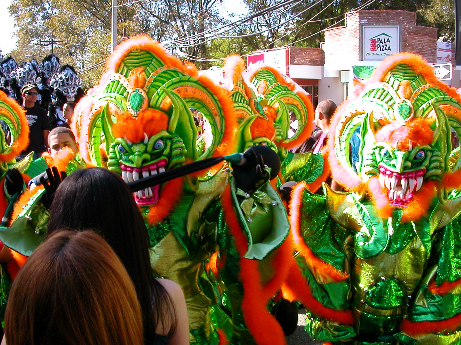 Carnaval Vegano 2009