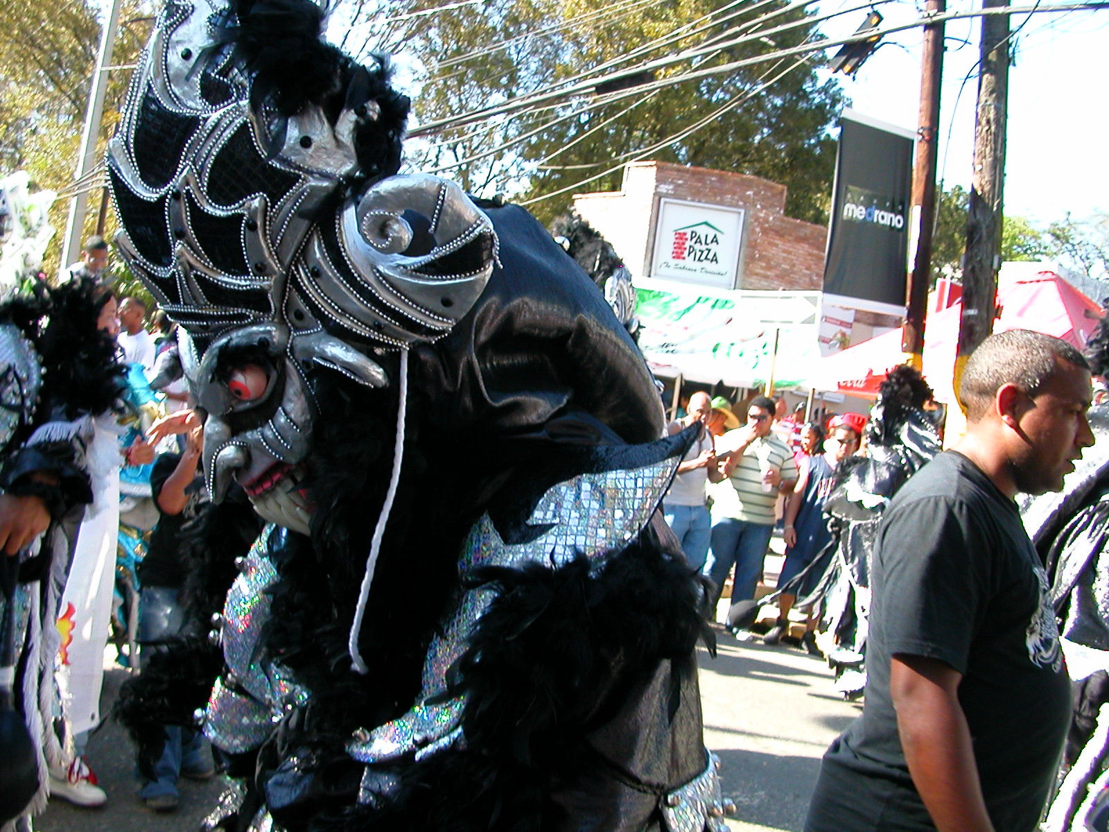 Carnaval Vegano 2009