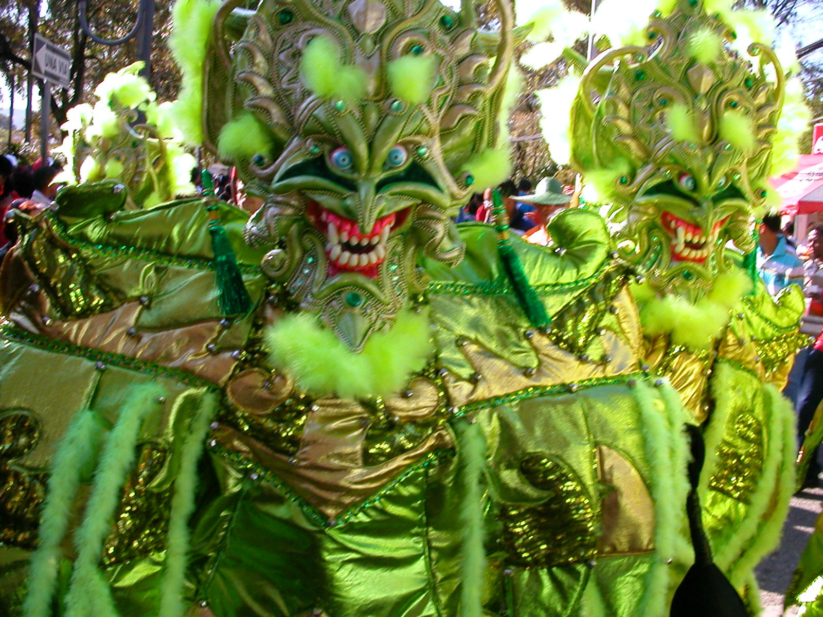 Carnaval Vegano 2009