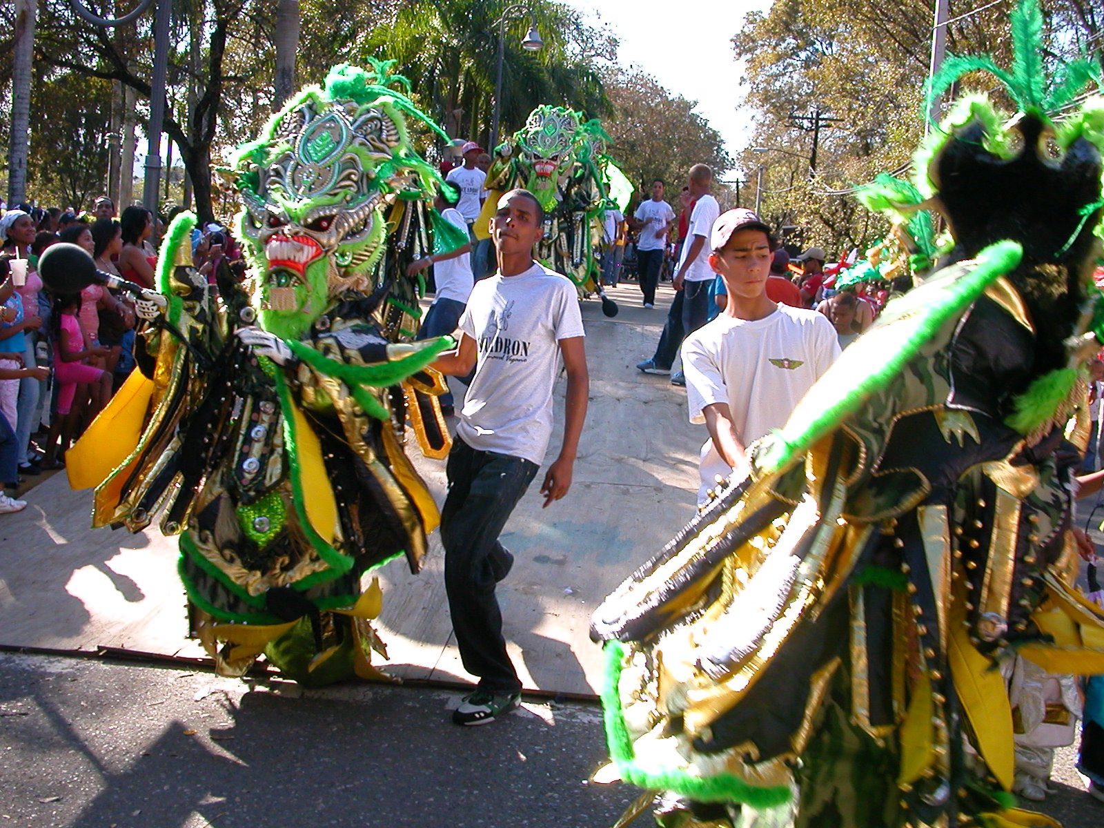 Carnaval Vegano 2009