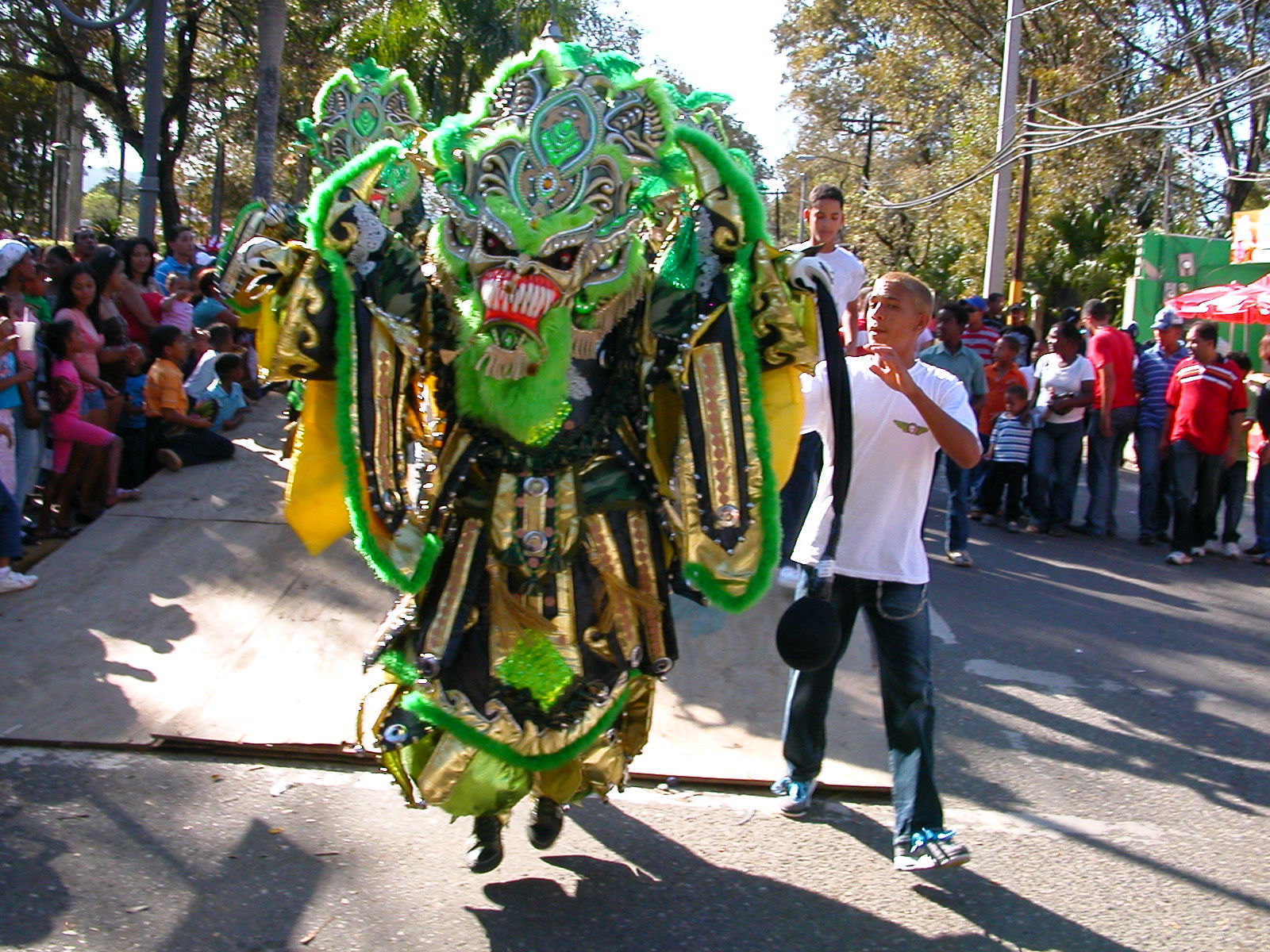 Carnaval Vegano 2009