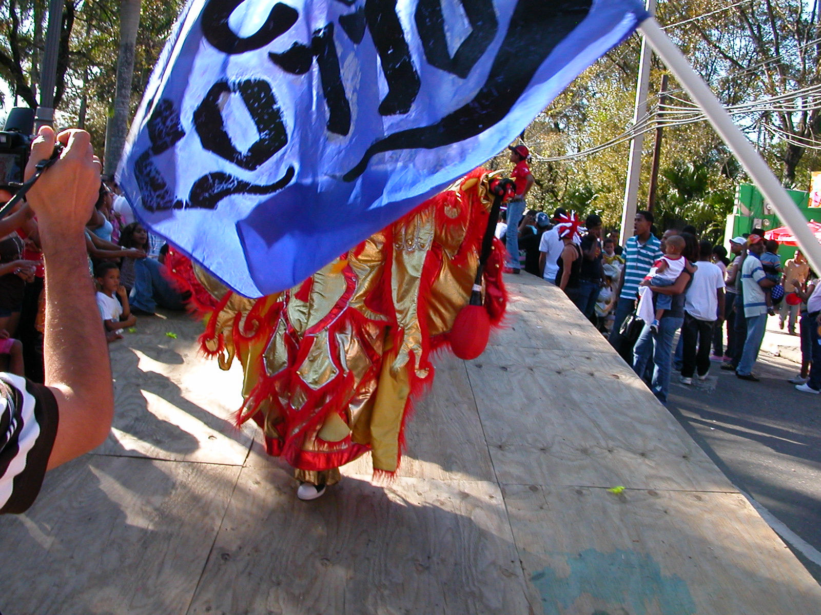 Carnaval Vegano 2009