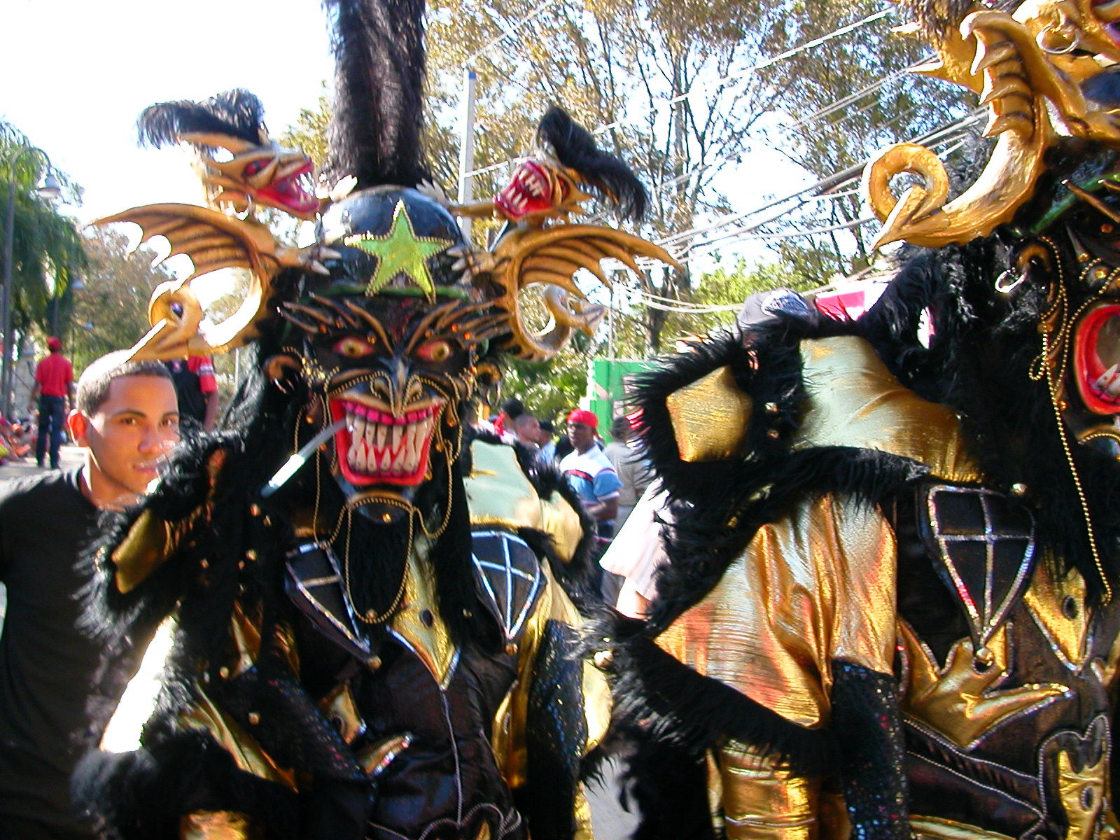 Carnaval Vegano 2009