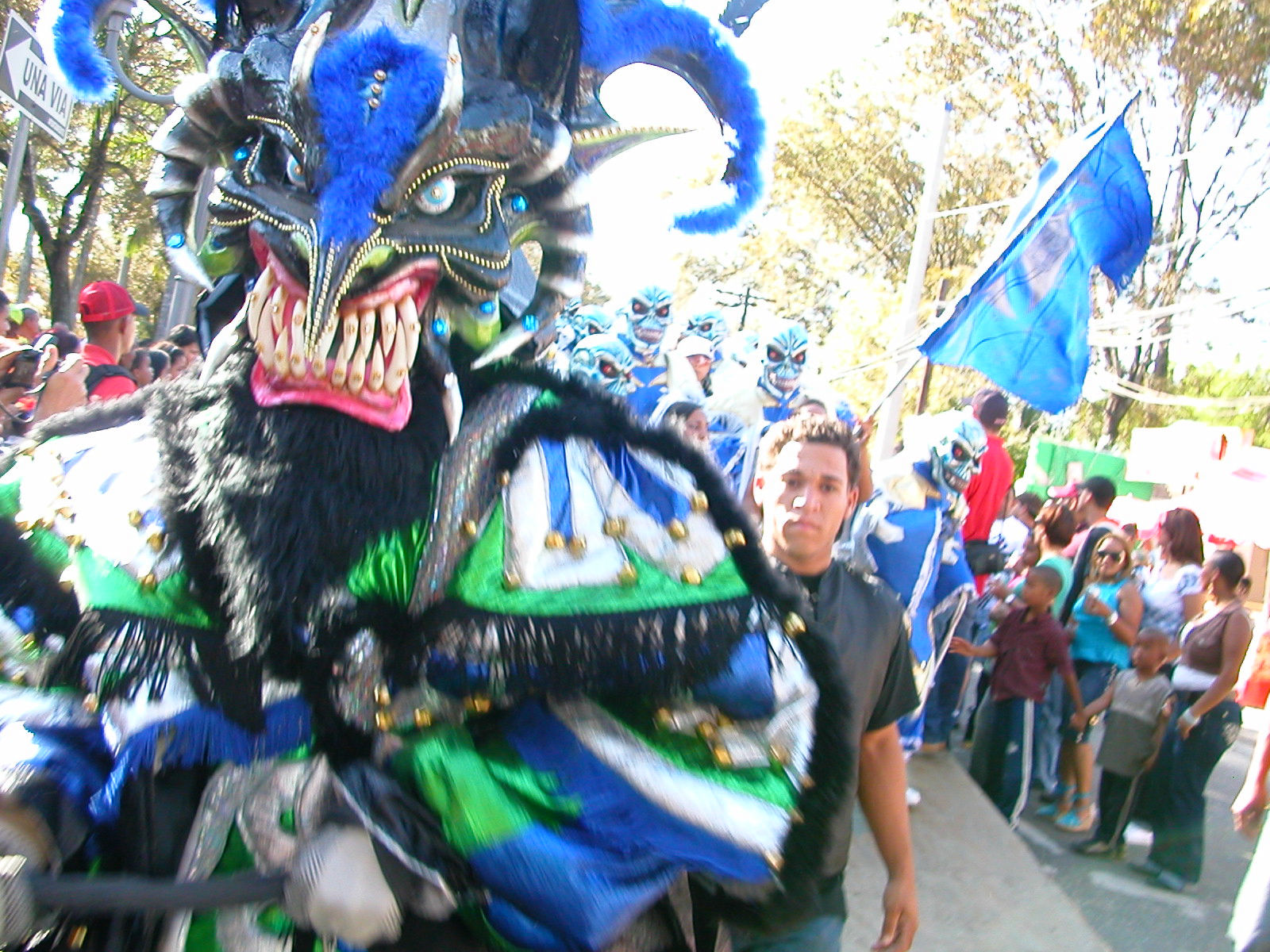 Carnaval Vegano 2009