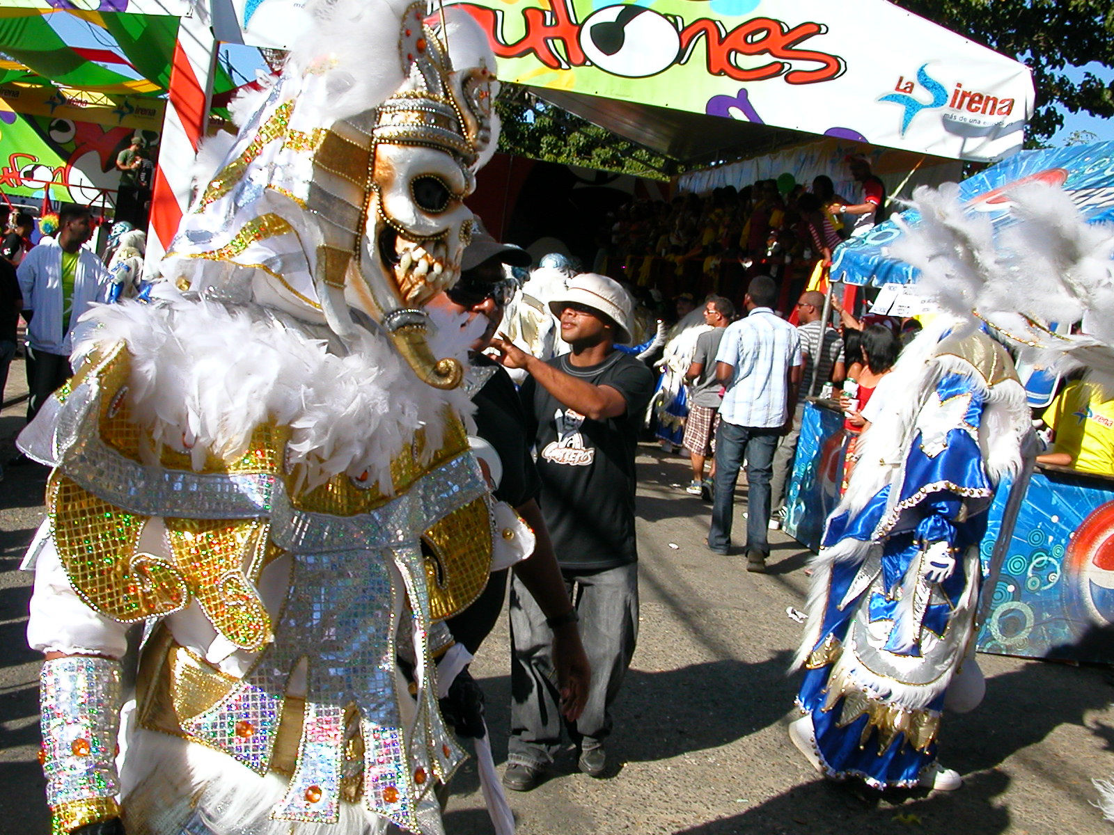 Carnaval Vegano 2009
