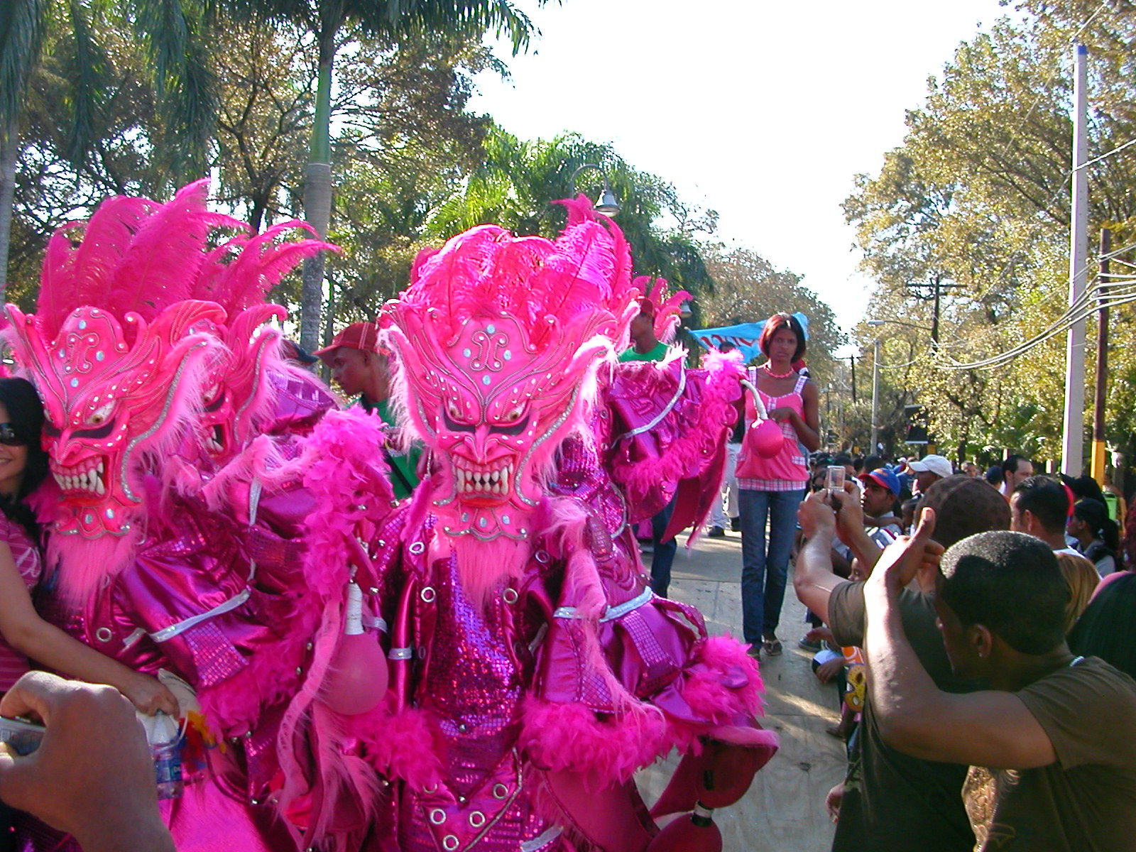 Carnaval Vegano 2009