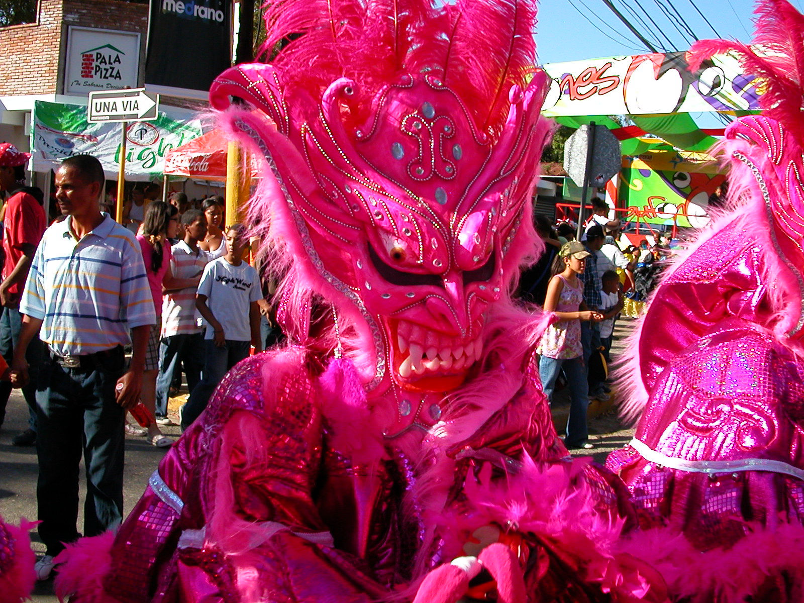 Carnaval Vegano 2009