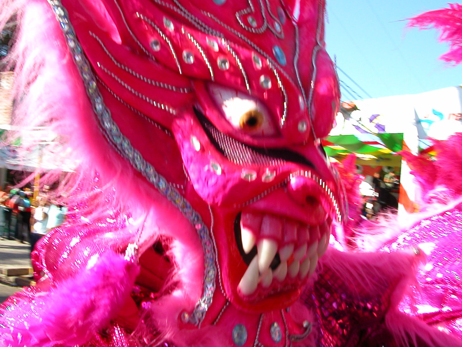 Carnaval Vegano 2009
