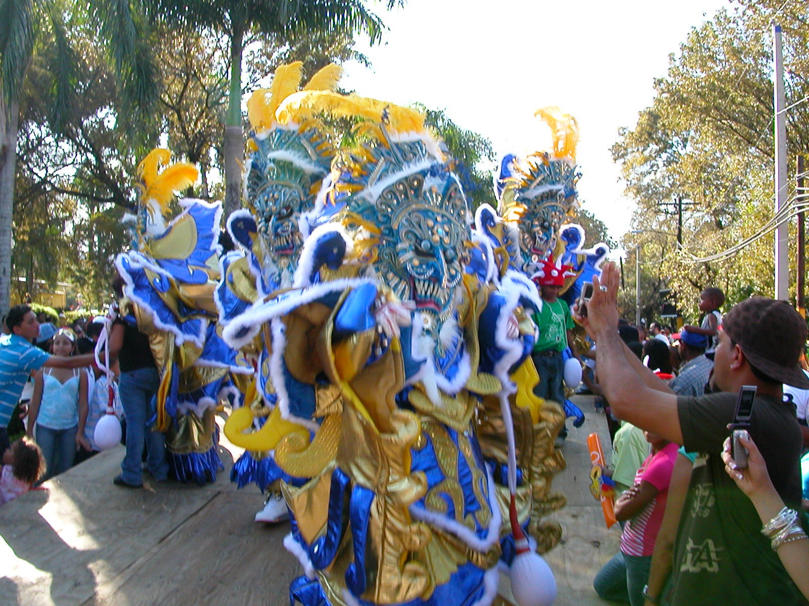 Carnaval Vegano 2009
