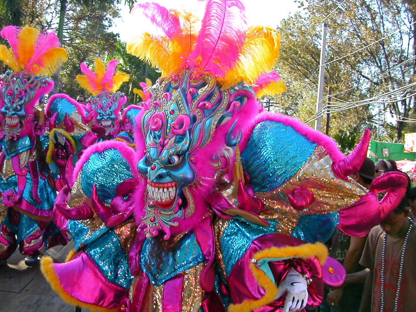 Carnaval Vegano 2009