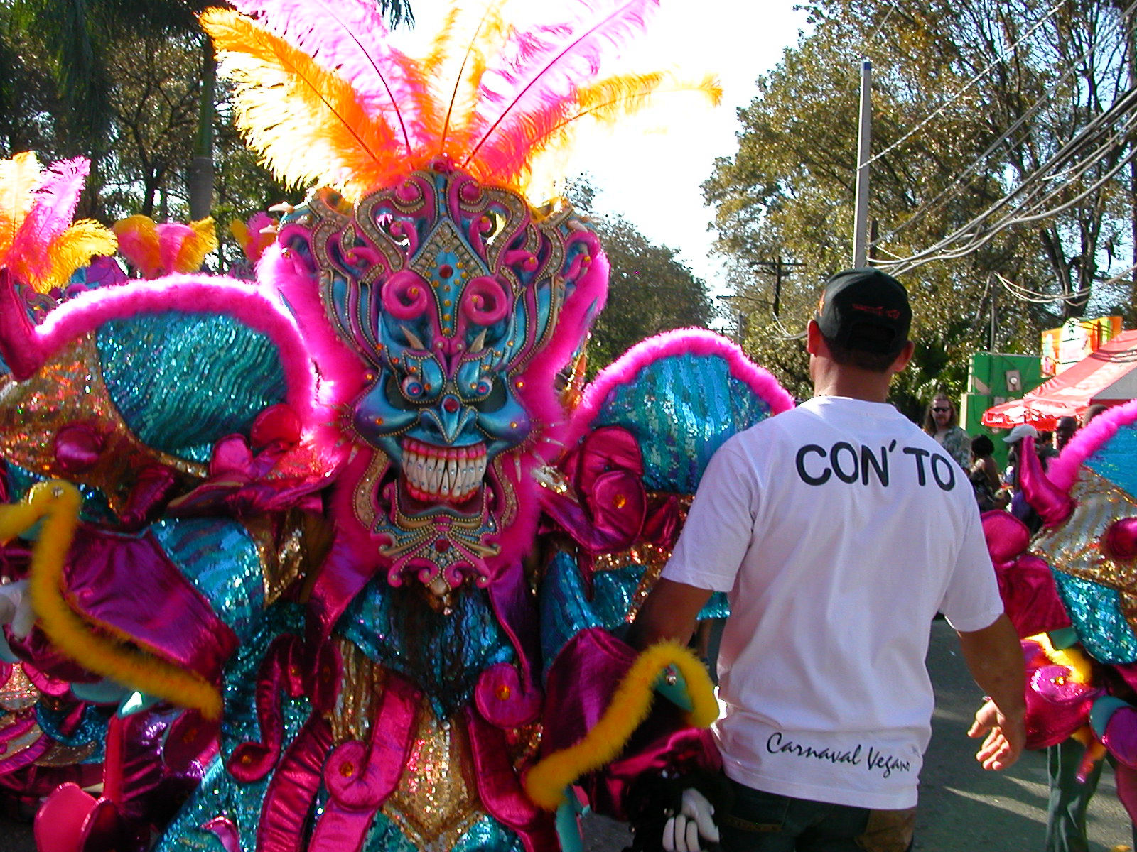 Carnaval Vegano 2009