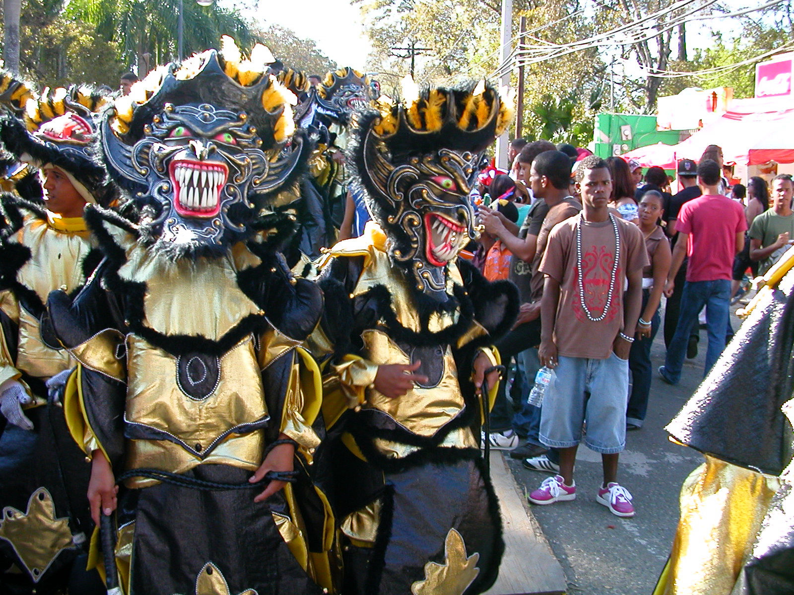 Carnaval Vegano 2009