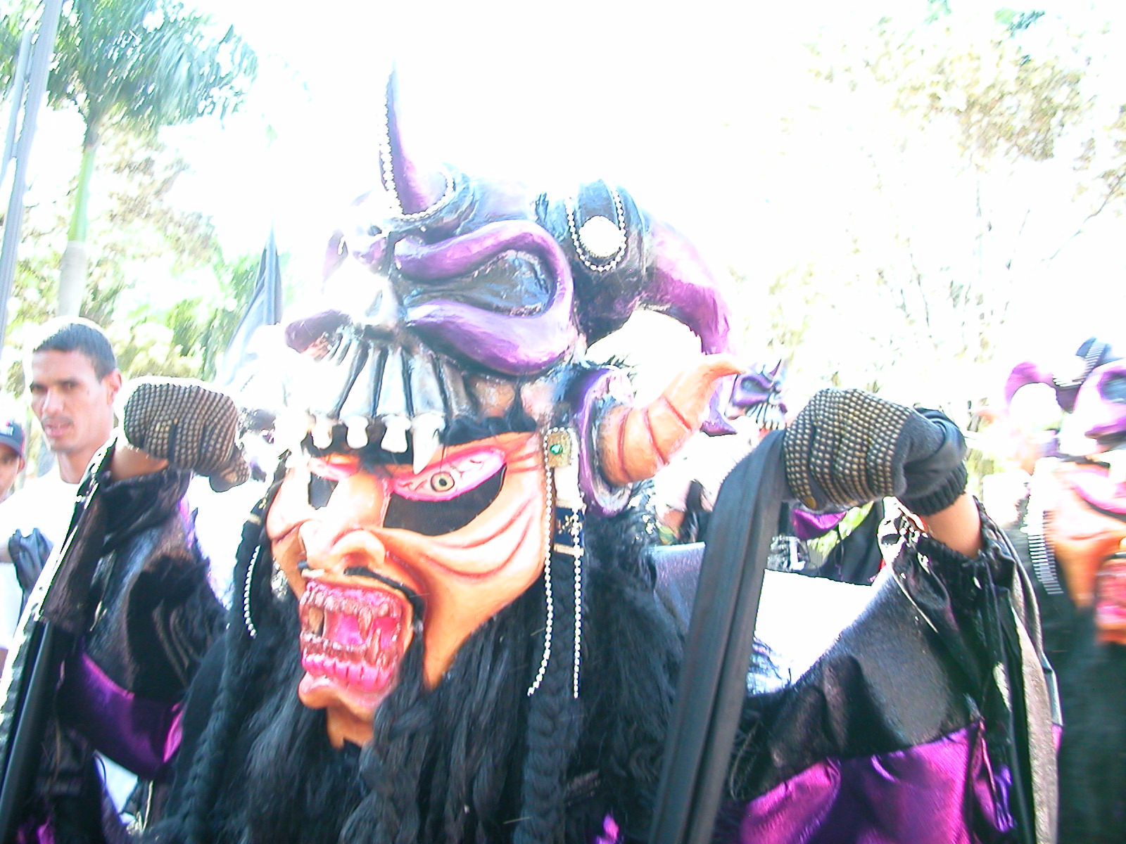 Carnaval Vegano 2009