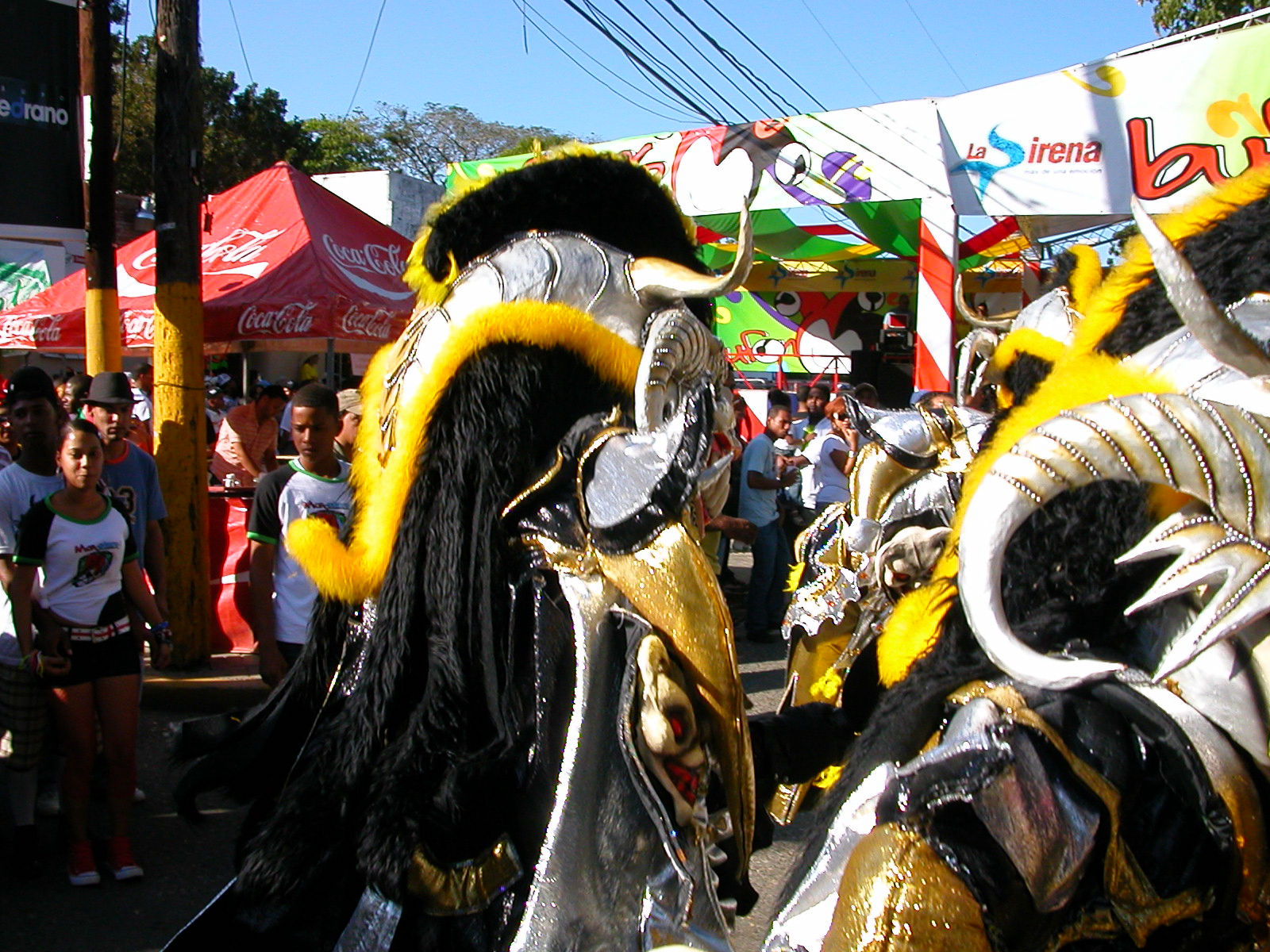Carnaval Vegano 2009