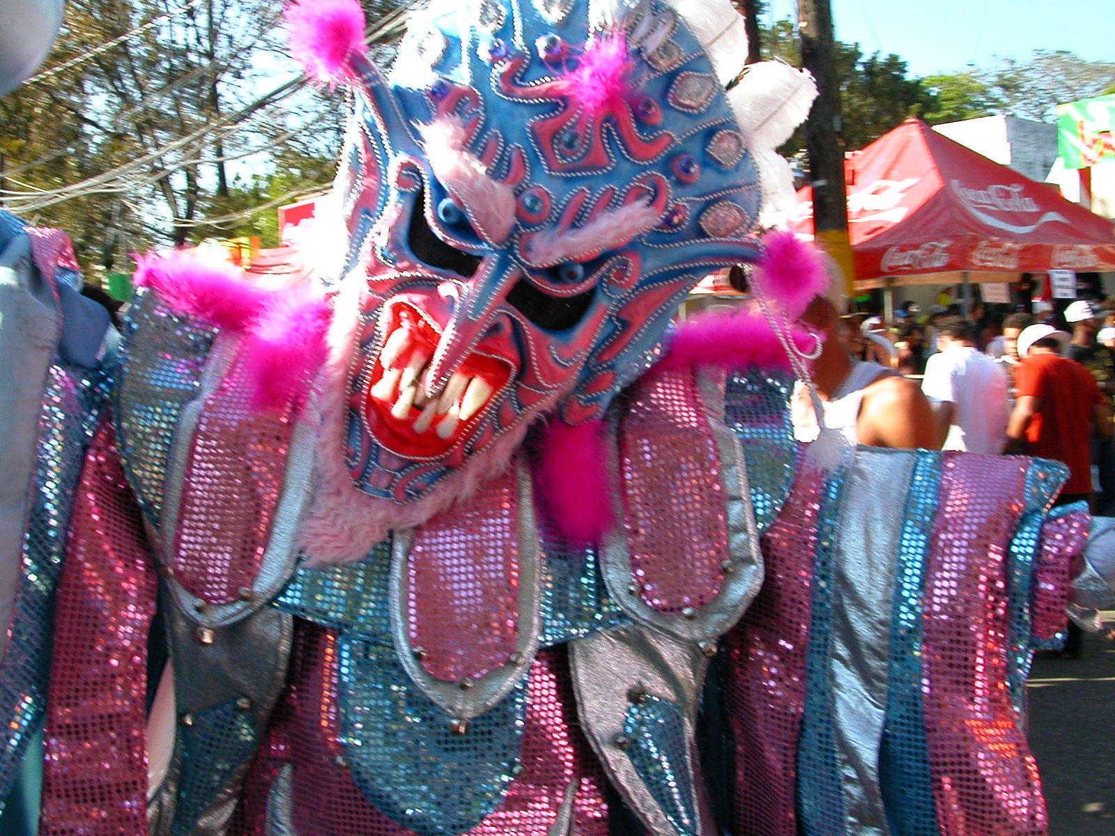 Carnaval Vegano 2009