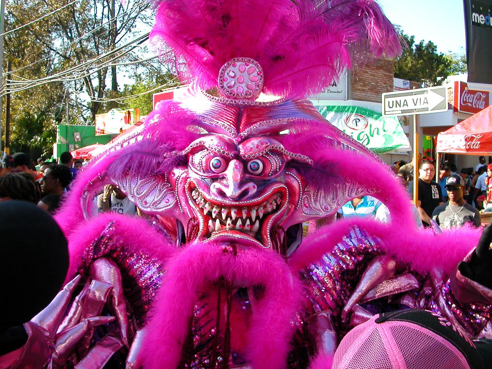 Carnaval Vegano 2009