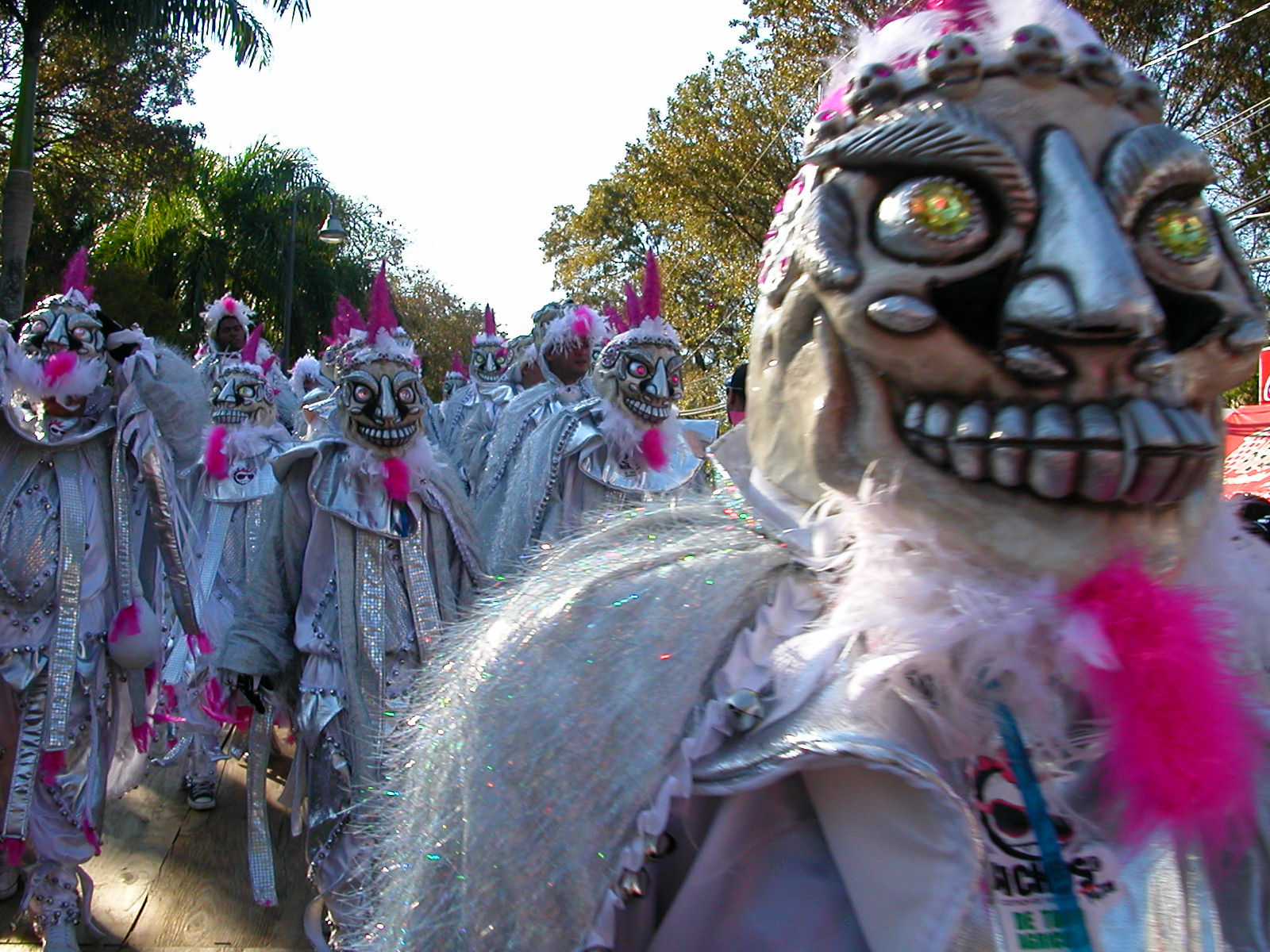 Carnaval Vegano 2009