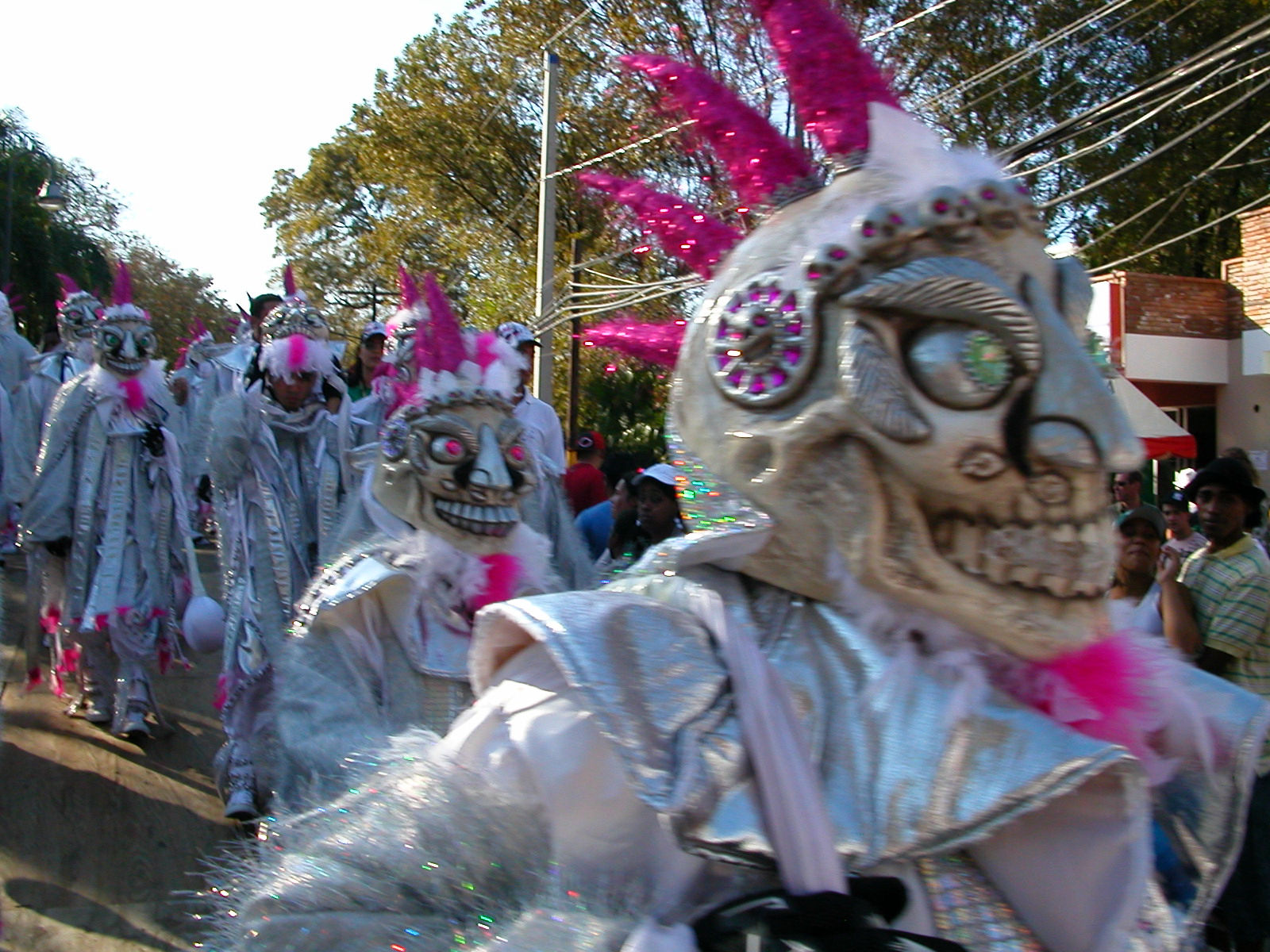 Carnaval Vegano 2009