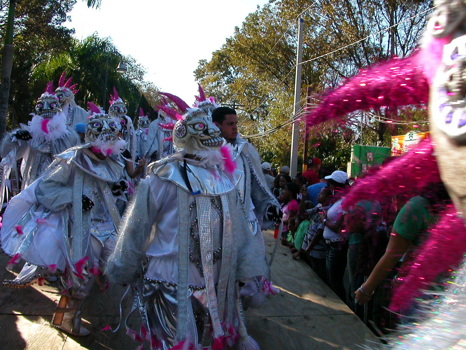 Carnaval Vegano 2009
