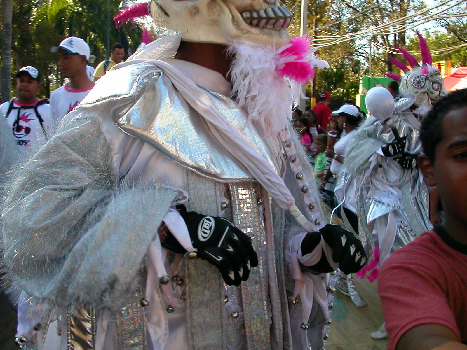 Carnaval Vegano 2009