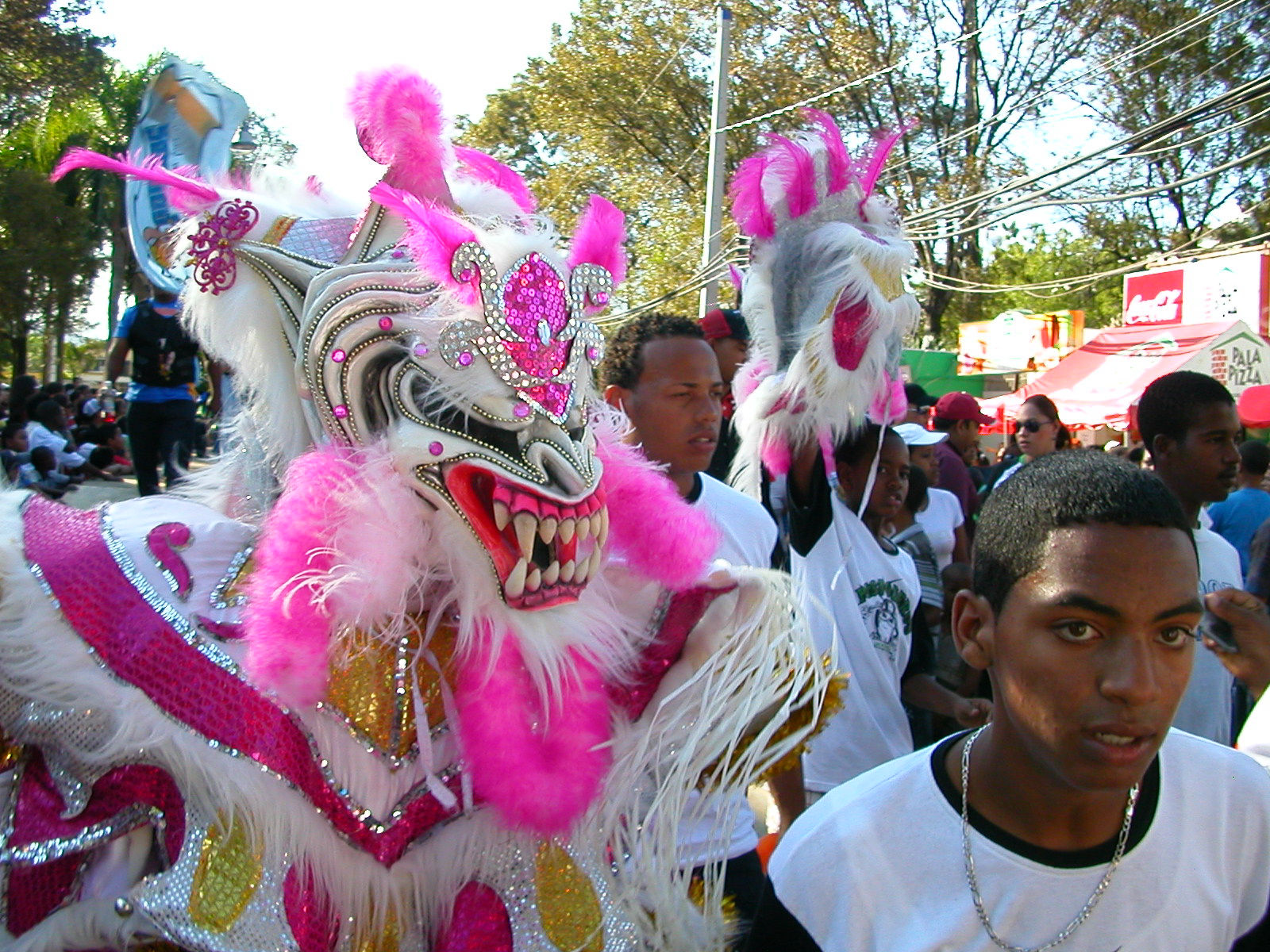 Carnaval Vegano 2009
