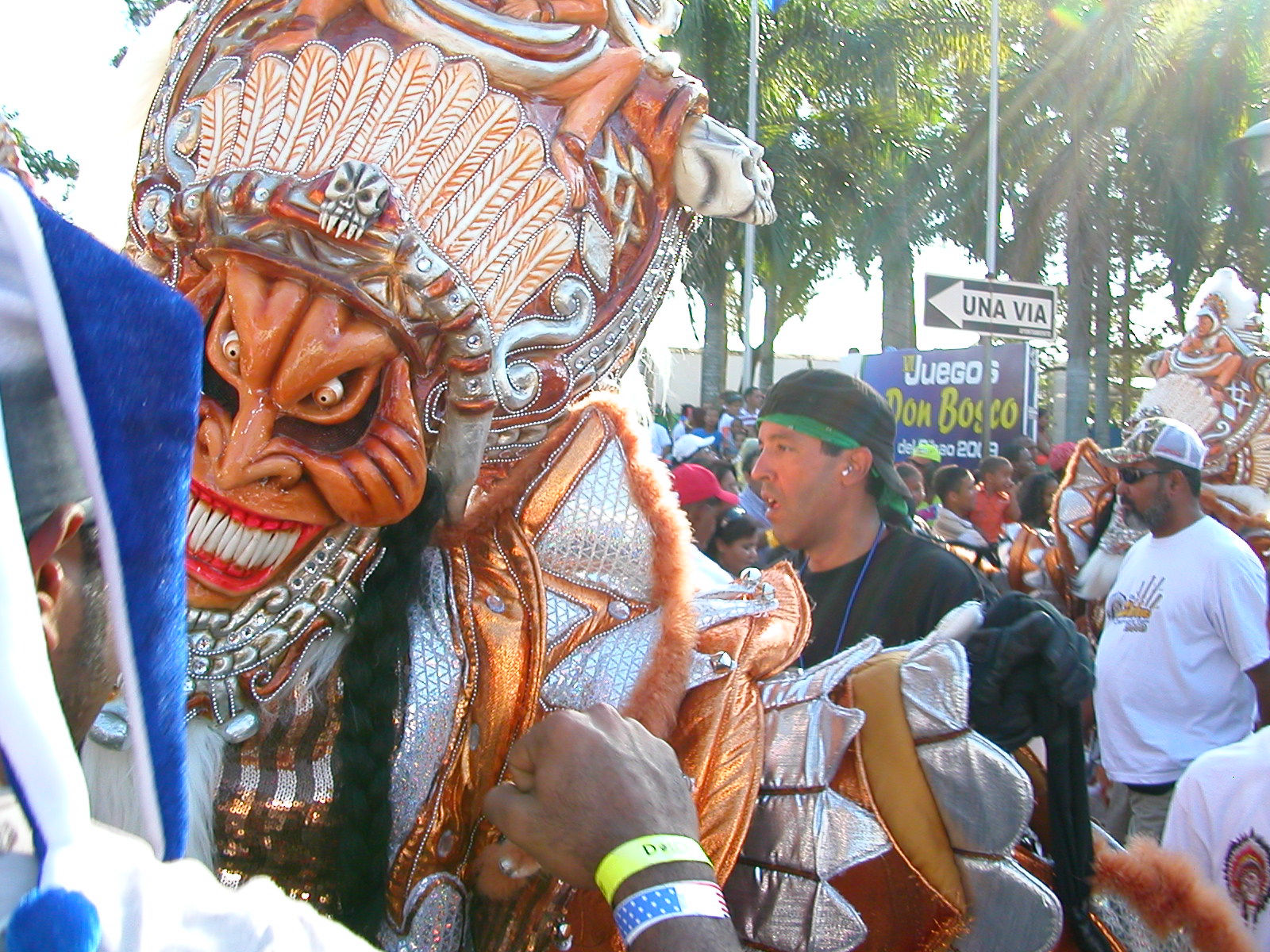 Carnaval Vegano 2009