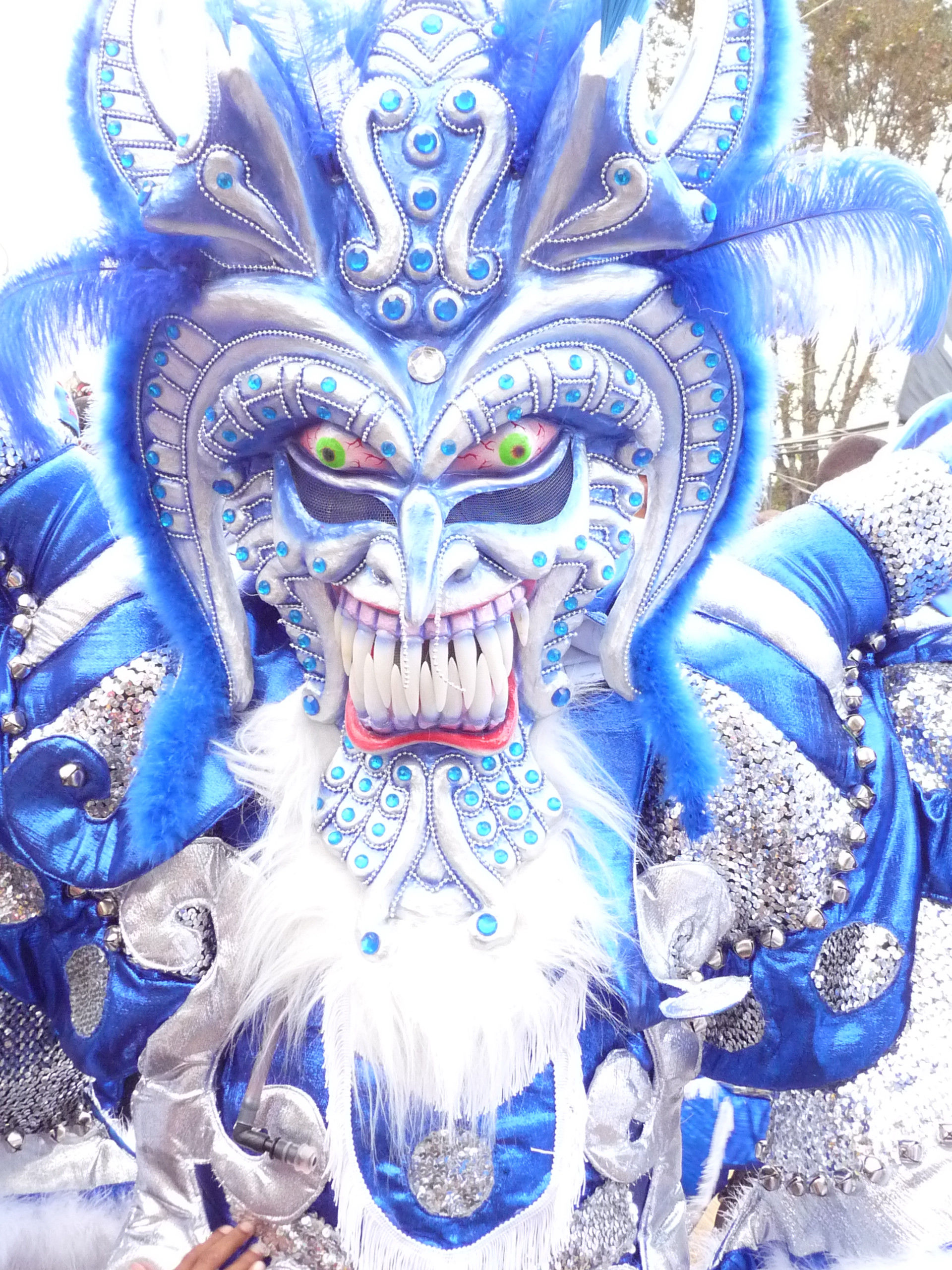 Carnaval Vegano 2009