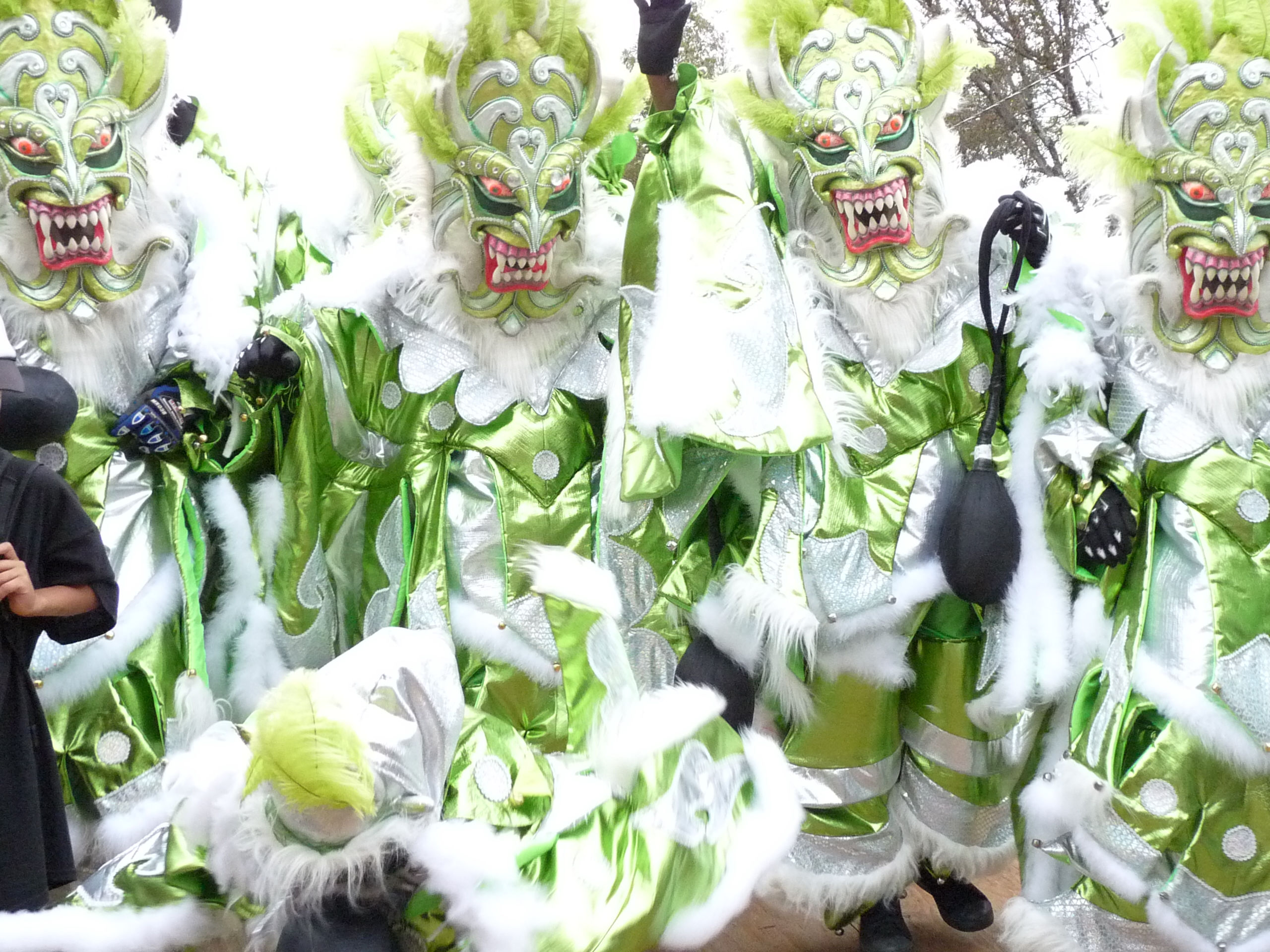 Carnaval Vegano 2009