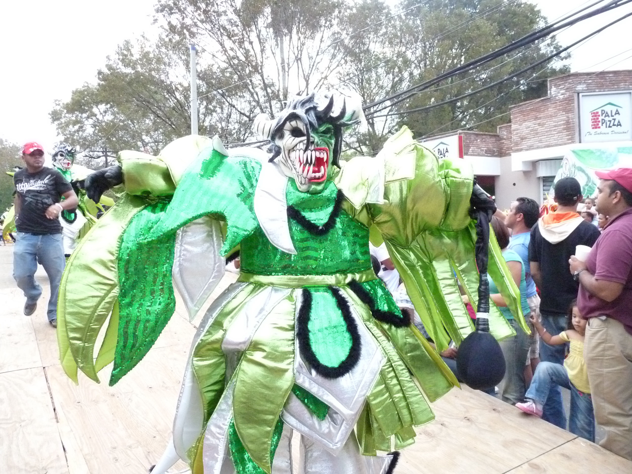 Carnaval Vegano 2009