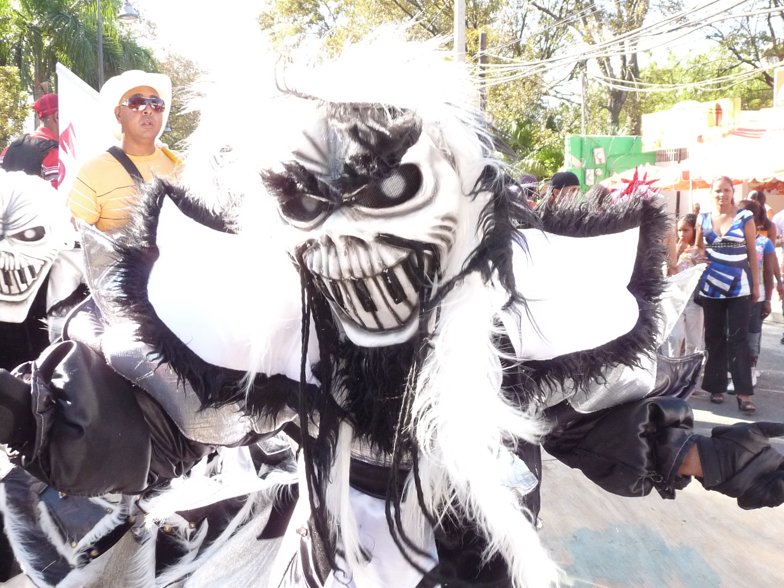 Carnaval Vegano 2009