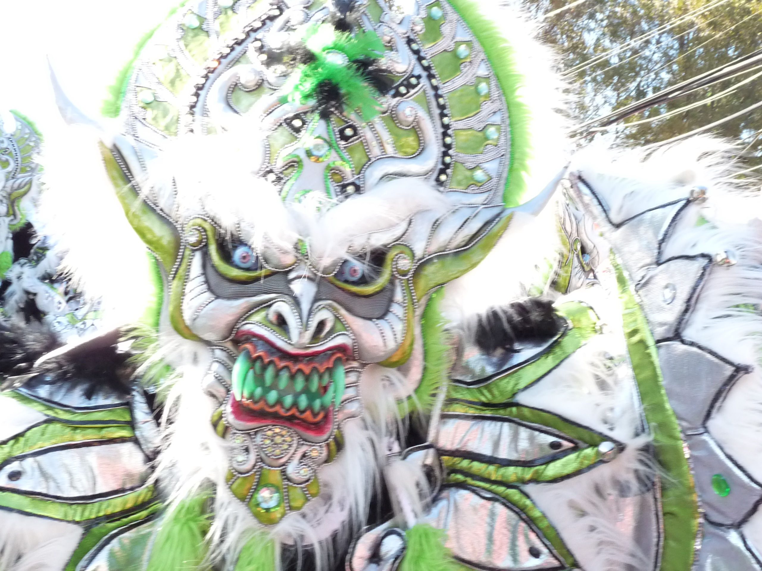 Carnaval Vegano 2009