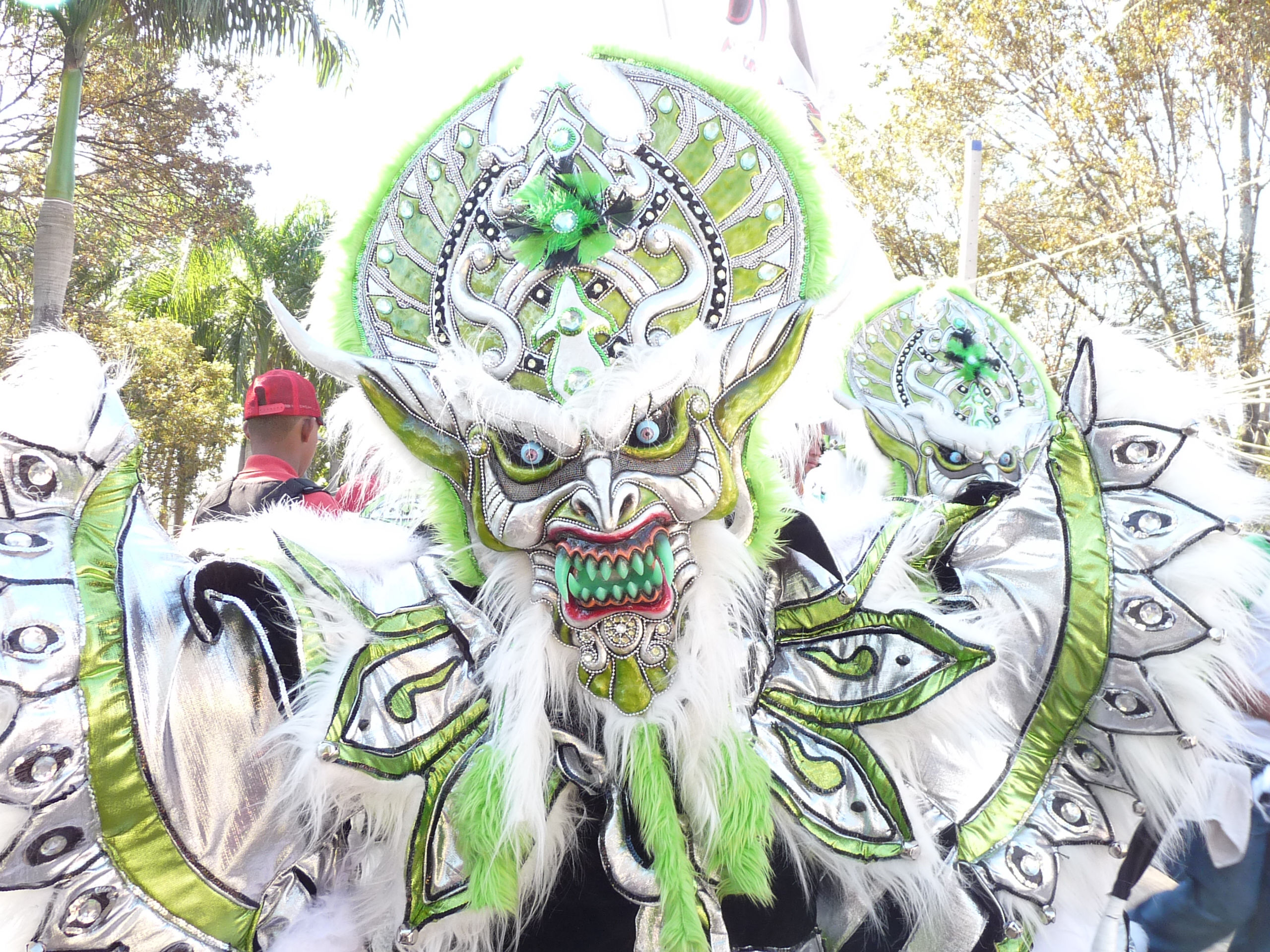 Carnaval Vegano 2009