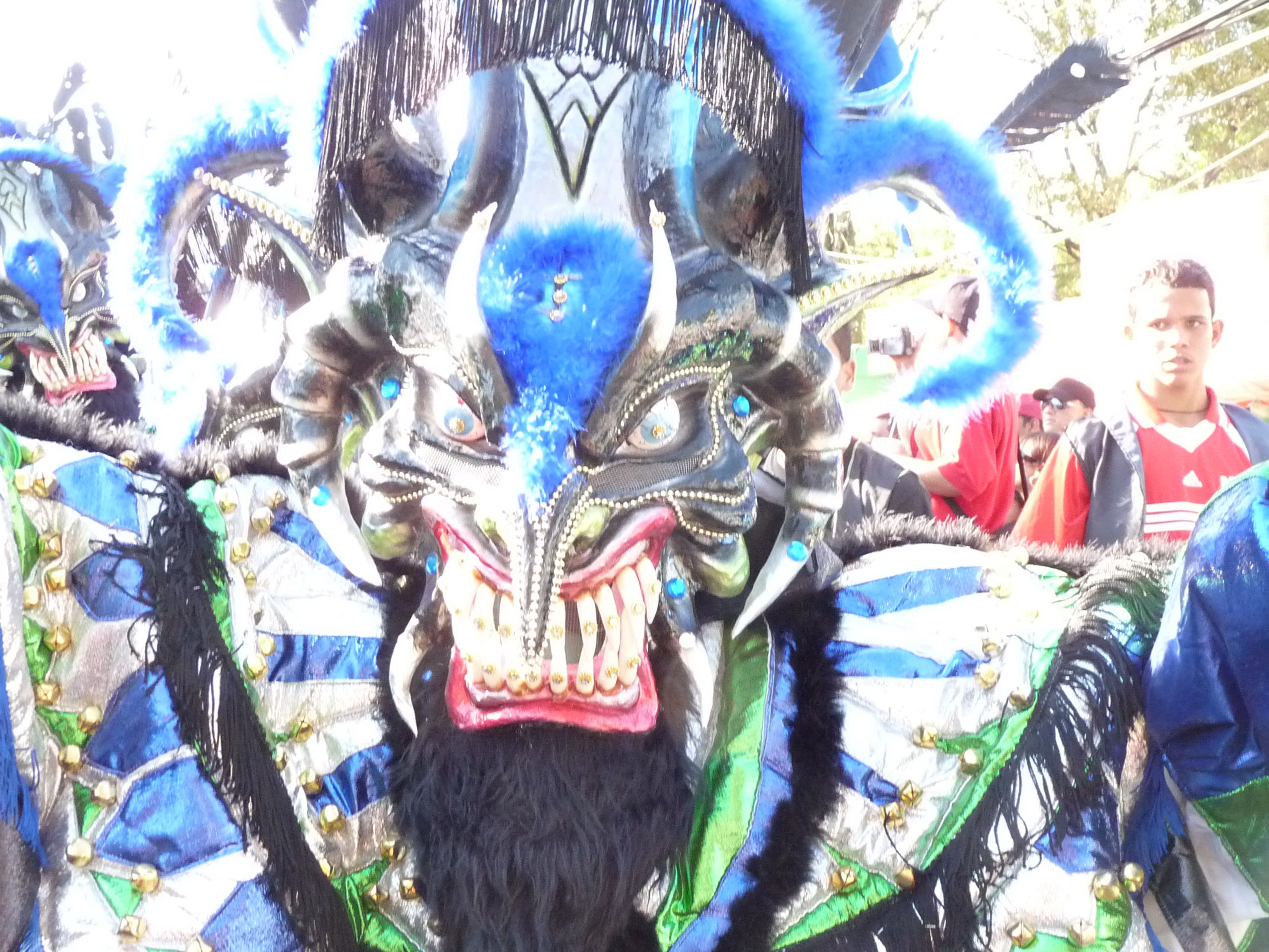 Carnaval Vegano 2009